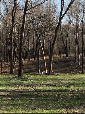 2484 W LANDERS RD, NIXA, MO 65714 - Image 8d1e833b5bee9772c12c8ef348548eac/1305714714