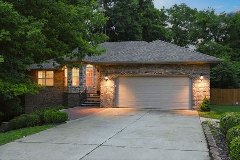 Photo of 902 S 14th Avenue, Ozark, MO 65721 (MLS # 60324424)