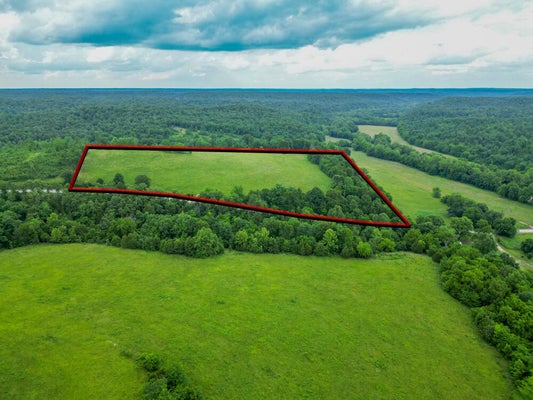 258 STATE ROAD YY, TUNAS, MO 65764 - Image 90dba4f21629ed85fda0a92d626fb3d7/17160073