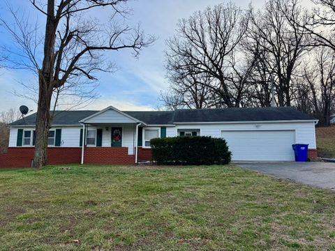 Photo of 4174 E State Highway Cc, Fair Grove, MO 65648 (MLS # 60313569)