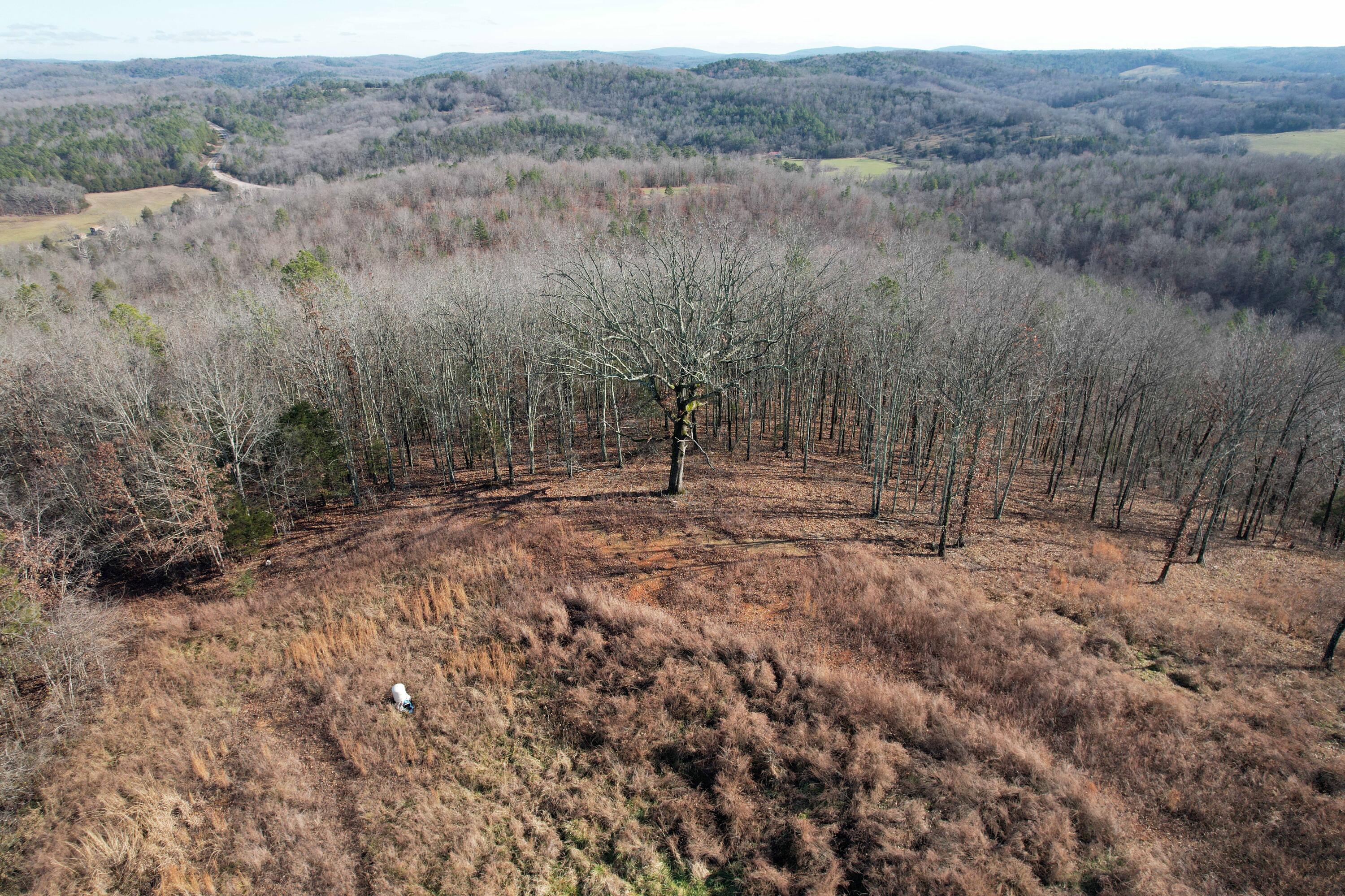 These 23.37 surveyed acres are a rare combination of great access & a large, flat, cleared, hilltop building site. Enjoy an absolutely gorgeous panoramic vista that can be further opened up in any direction you prefer. To better understand the spectacular views this site has, drive to the end of County Road 106E & see the beautiful homes that enjoy this forested scenery.The driveway, lined with large pines, gently ascends from the county road on the south side of the property to the 3/4-acre, two-level, building sites. The driveway then descends back to the county road on the north side of the property. You never have to back a trailer.  A 500ft well was drilled in 2020. Bring your camper trailer, solar collector, &/or generator & have a forested getaway place near some of Missouri's best natural attractions like Rocky Falls, Blue Spring, Alley Spring, & Prairie Hollow Gorge. An electric easement might be possible from an adjoining neighbor but has not been checked into.Also enjoy your 3-acre Scenic Riverway Landowners' Association riverside park, where your subdivision has a private access & gravel bar on the spectacular Jacks Fork River just 3/4 mile away. Several beautiful new homes attest to the overall high quality of the Scenic Riverway Hills subdivision & its protective covenants, which are not overly restrictive. Enjoy being part of a small rural community blessed with some of the highest quality rivers, streams, & vistas in the Ozarks. The vast majority of land around Eminence is public forest. The forest protects the crystal- clear waters of the beloved Jacks Fork River & Current River. The Current River is just 6 miles downstream from this property. Eminence is the base camp for families & other outdoor enthusiasts who come to float, fish, trail ride horses, hike, explore the abundance of nearby natural wonders, & see the wild elk & wild horses. Eminence welcomes everyone to, ''Stay a day or a lifetime''. On this property you'll want to stay a lifetime