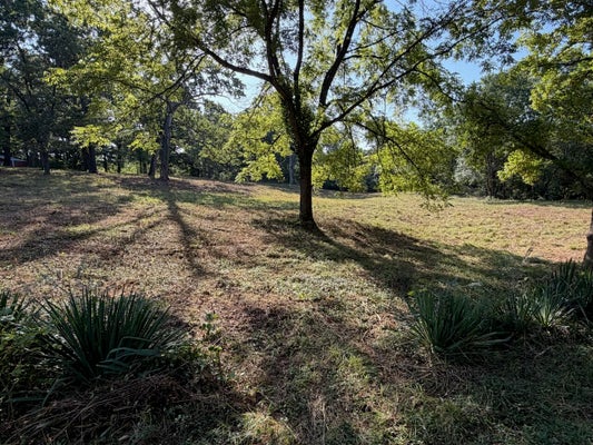 16 COUNTY RD 393, THAYER, MO 65791 - Image 9492329e31089e2ae5f8ff7eadb17b14/2436962880