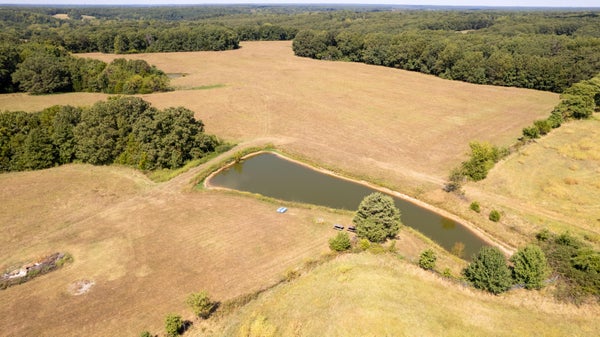 187 LITTLE CREEK DR, FORDLAND, MO 65652 - Image 94994f36cbda37659f9cbfeb19c9bf65/676513931