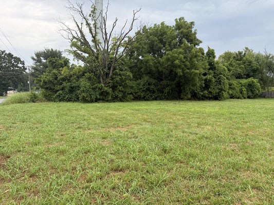 887 W STATE HIGHWAY NN, OZARK, MO 65721 - Image 9522019afcf86297eee5b5de78343f5d/2412150747