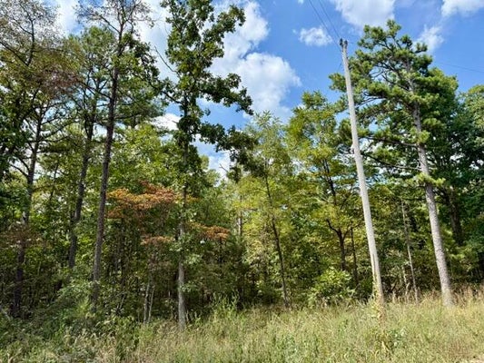 TEXAS TOWER RD, LICKING, MO 65542 - Image 9797eb5ed05c5fa5e04485389318199e/2204886217