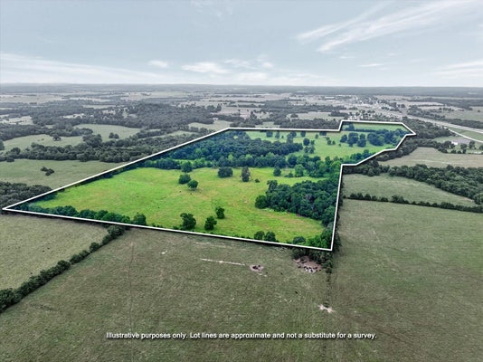 E MT GILEAD RD, BOLIVAR, MO 65613 - Image 98ff8043a34d3669f6e04f5432fc286b/353624046