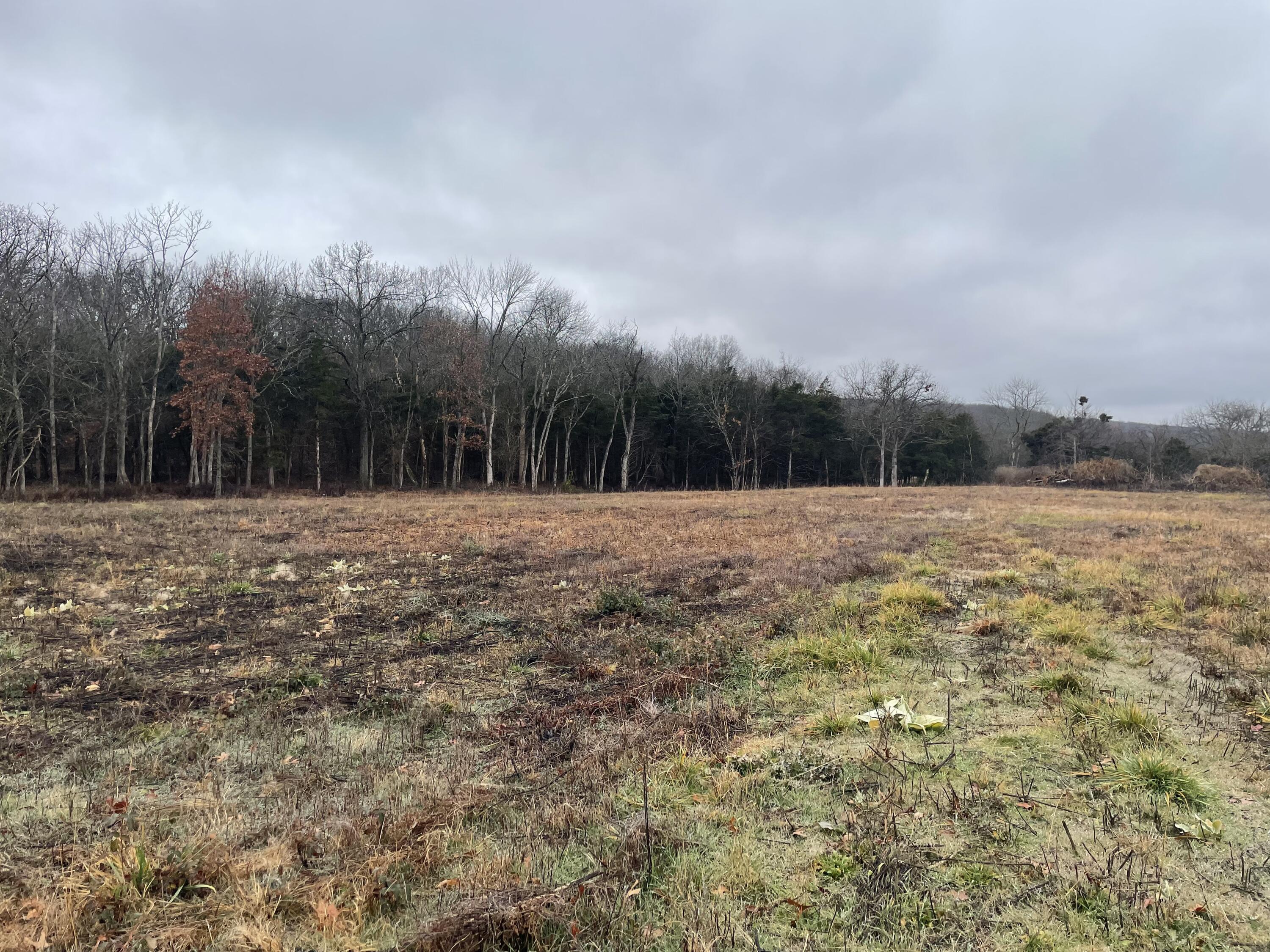 Come take a look at these 10 acres.Great hunting property with approximately 80 % wooded. Theres a nice area that has been cleared for building your dream home on.
