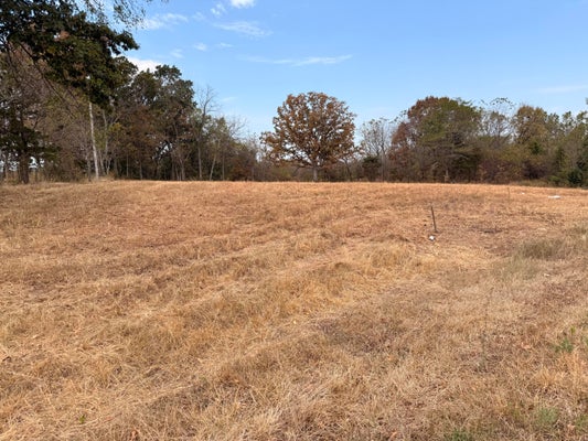 DYS DR, CABOOL, MO 65689 - Image 9990d000eabc314c494842f6008fdf9b/3059237793
