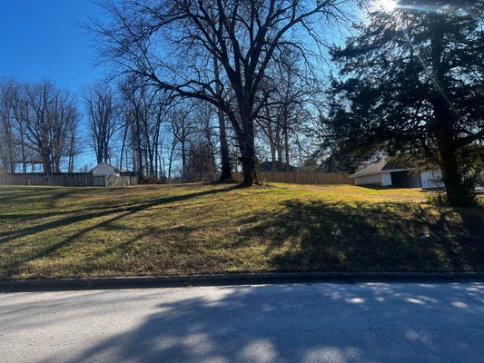 3706 E LINWOOD DRIVE, SPRINGFIELD, MO 65809 - Image 99dfabcfe55c61b69d4247676e23bccc/1661268272