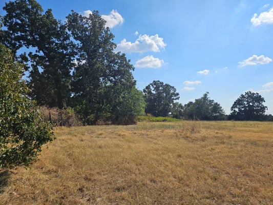 123 W HIGHWAY H, MONETT, MO 65708 - Image 9b2cd80853497e06af28e39a3c66b6d8/808655387