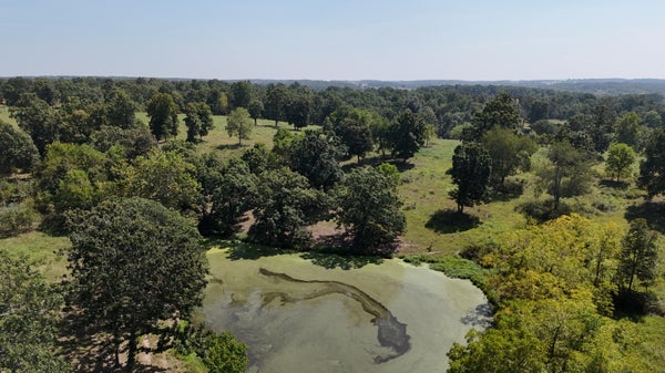 24770 JUNIPER RD, LEBANON, MO 65536 - Image 9c3e371d3e24557ba110d9bffdea4d10/3842622666