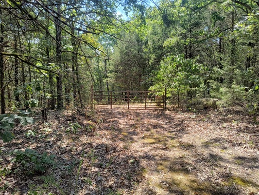 68 CALIFORNIA LN, THEODOSIA, MO 65761 - Image 9fda84ca2f76d4086b4c9724701c13c2/3753059848