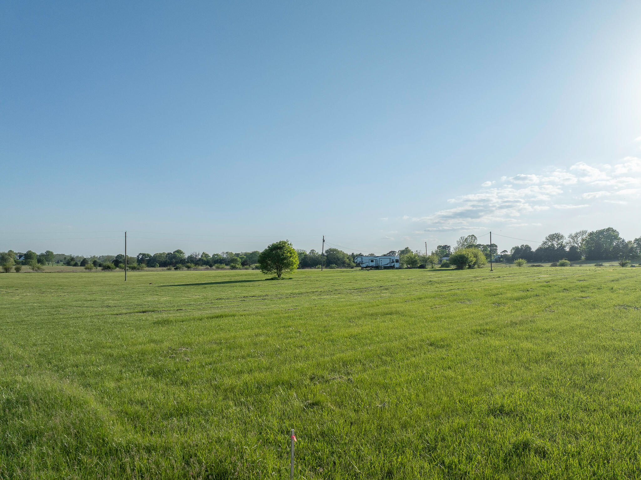 10 Acres in Rogersville 1