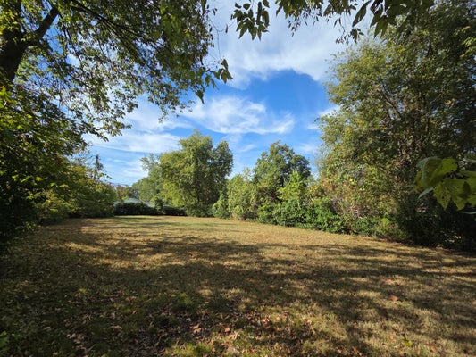 2736 W OLIVE ST, SPRINGFIELD, MO 65802 - Image a0b174bb28a809ec6a63493351f9fc55/2126256907