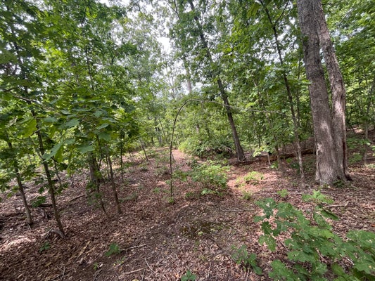 PARTRIDGE DR, CLIMAX SPRINGS, MO 65324 - Image a0c3cd5e051d4ac5dbba664d49c2c535/280922235
