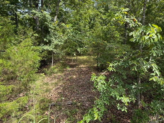 54 CATTAIL CT, REEDS SPRING, MO 65737 - Image a0c46ea921e971914fb4b2809554d0a5/812098766