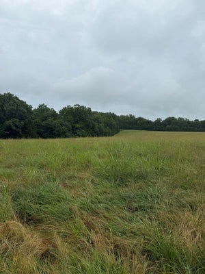 227 J LEA LN, THEODOSIA, MO 65761 - Image a1915a5b4ec9b71eaf871d8068b9eea7/2880729217