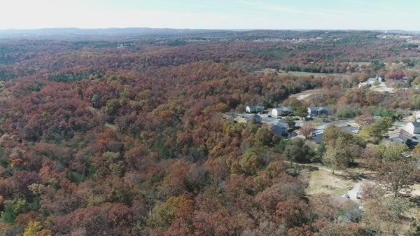 116 E STATE HIGHWAY 76, KIRBYVILLE, MO 65679 - Image a1c58db0cee7d47eb8fe0bf0ff785166/3328679247