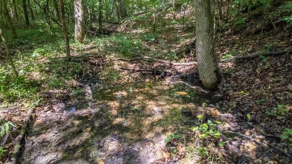 3 UPPER JANES CREEK RD, RAVENDEN SPRINGS, AR 72460 - Image a1fbd8d6d964a5ccae565b2ae9a0b5b3/2187339559