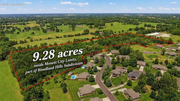 2 REMINGTON DR, MONETT, MO 65708 - Image a2dbe3fac6c5c99336a3259eb1b665ca/2507573108