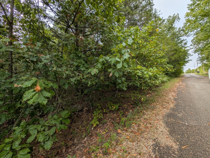 Photo 1 of 7 — 000 N Lot 359 Millstone Street, Shell Knob, MO 65747