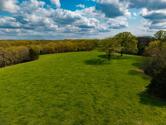 382 IORG LN, SPARTA, MO 65753 - Image a464955e24e4d8f5d00ca0f6170a05ed/345463721