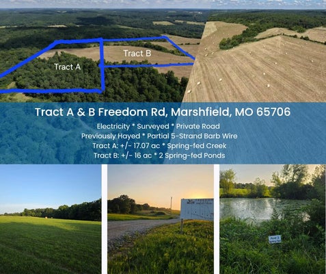 FREEDOM DR, MARSHFIELD, MO 65706 - Image a504d44d88e73c8471b5775fe7fd35c7/3539661229