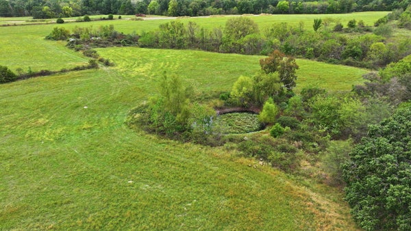 FREEDOM DR, MARSHFIELD, MO 65706 - Image a504d44d88e73c8471b5775fe7fd35c7/870180249