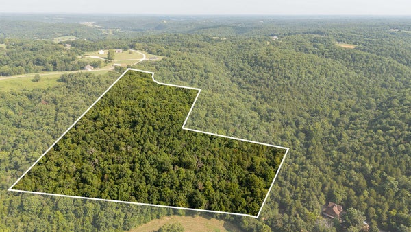 83 MISTY SPRINGS RD, GALENA, MO 65656 - Image a5341271b75fa37559c8bfdc77d6d965/3967016172