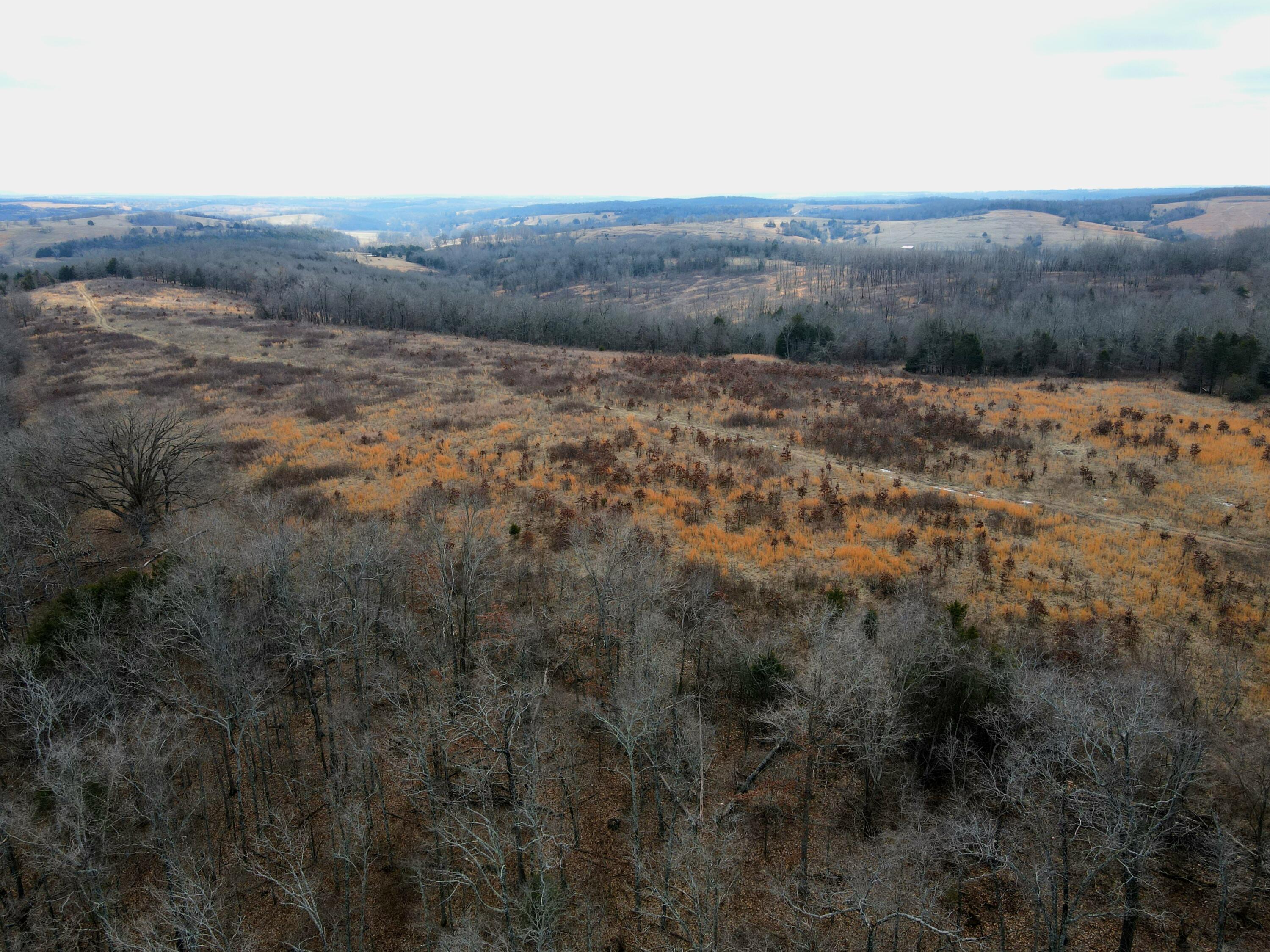 Ozark-Not in List - Residential