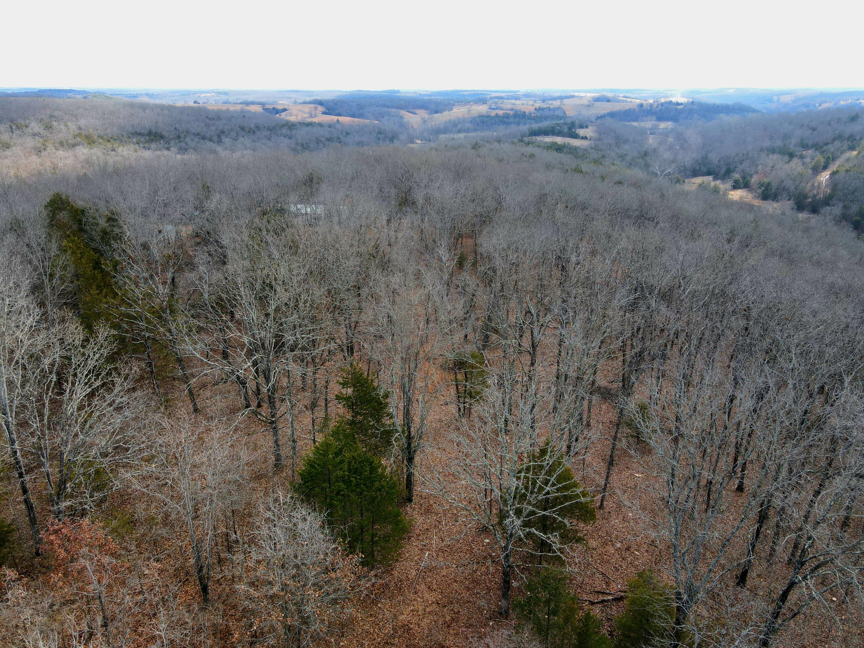 Ozark-Not in List - Residential
