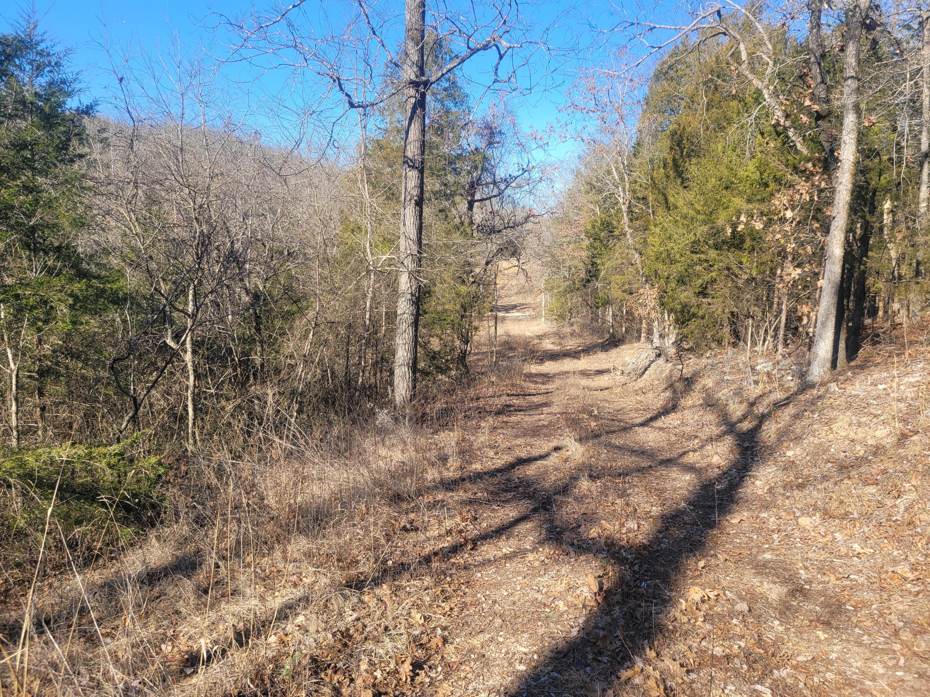 Ozark-Not in List - Residential