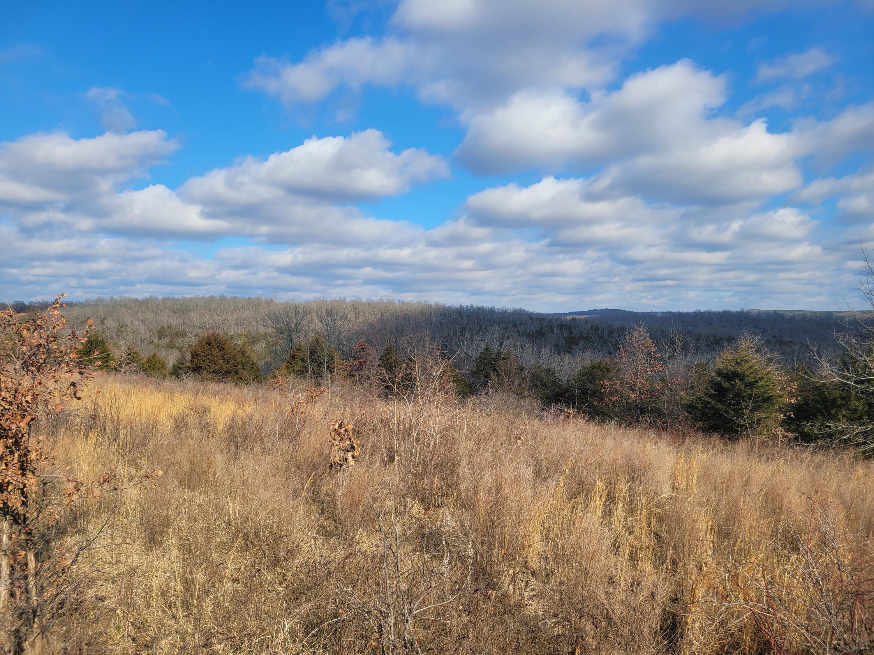 Ozark-Not in List - Residential