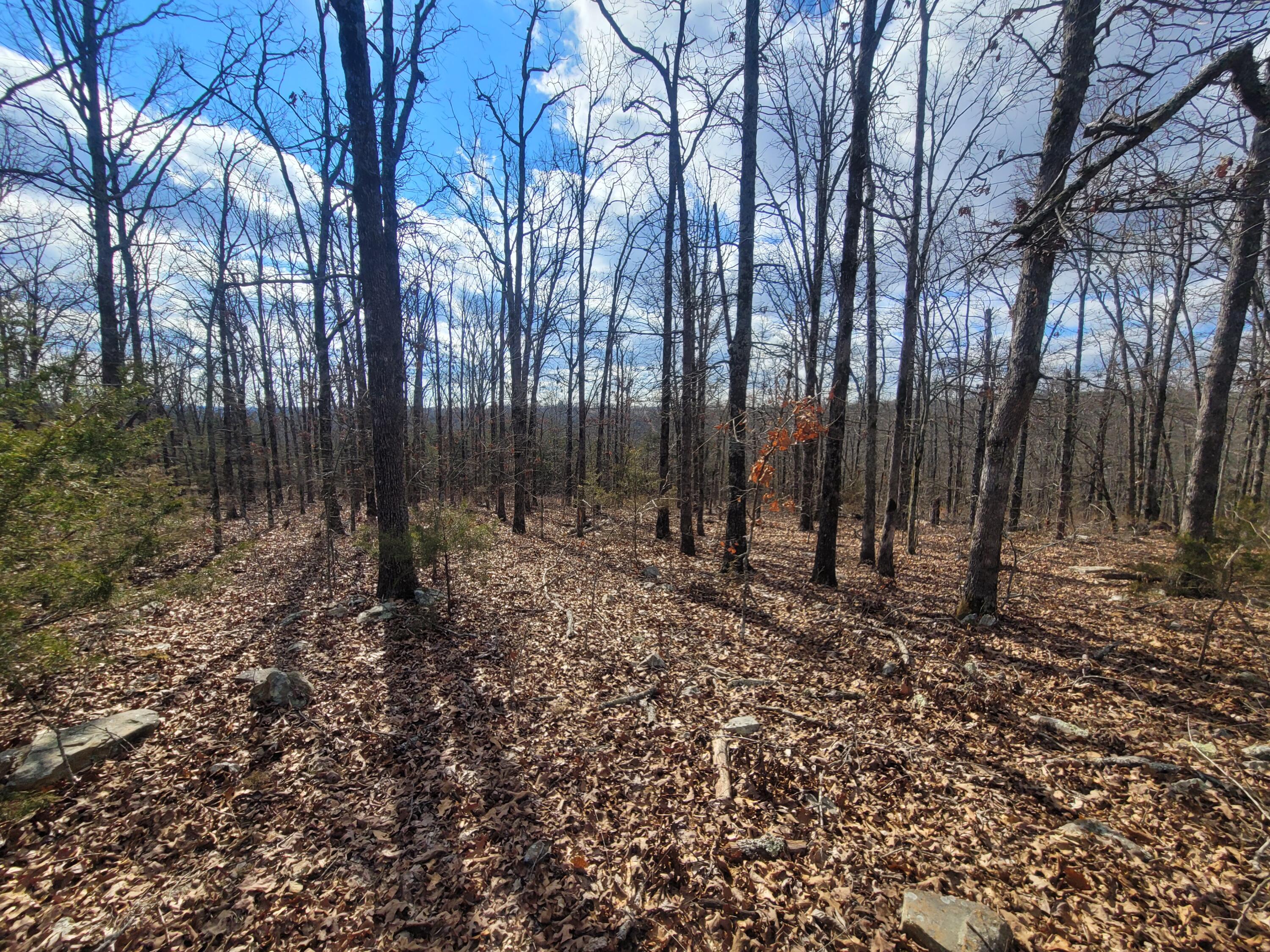 Ozark-Not in List - Residential