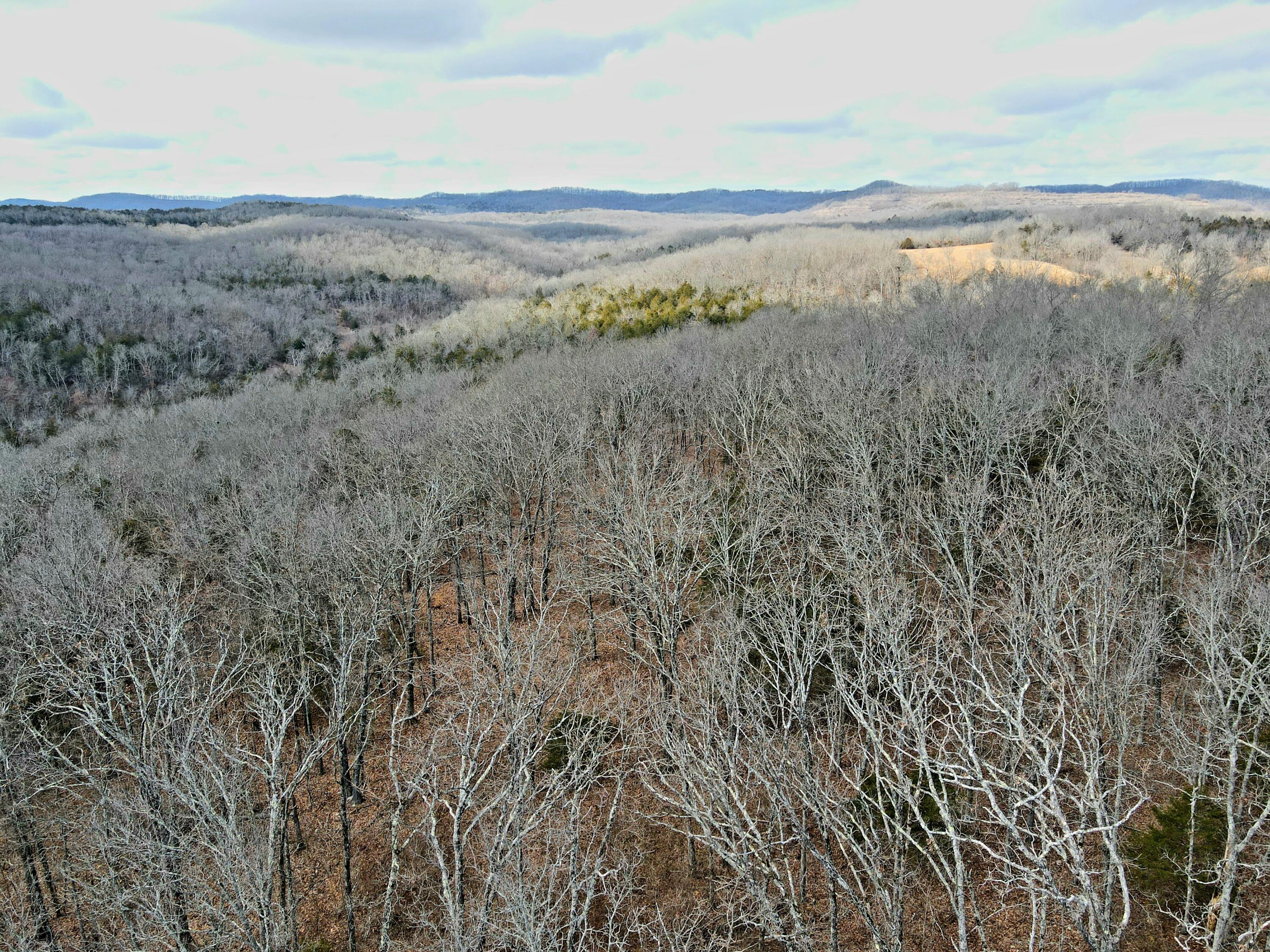 Ozark-Not in List - Residential
