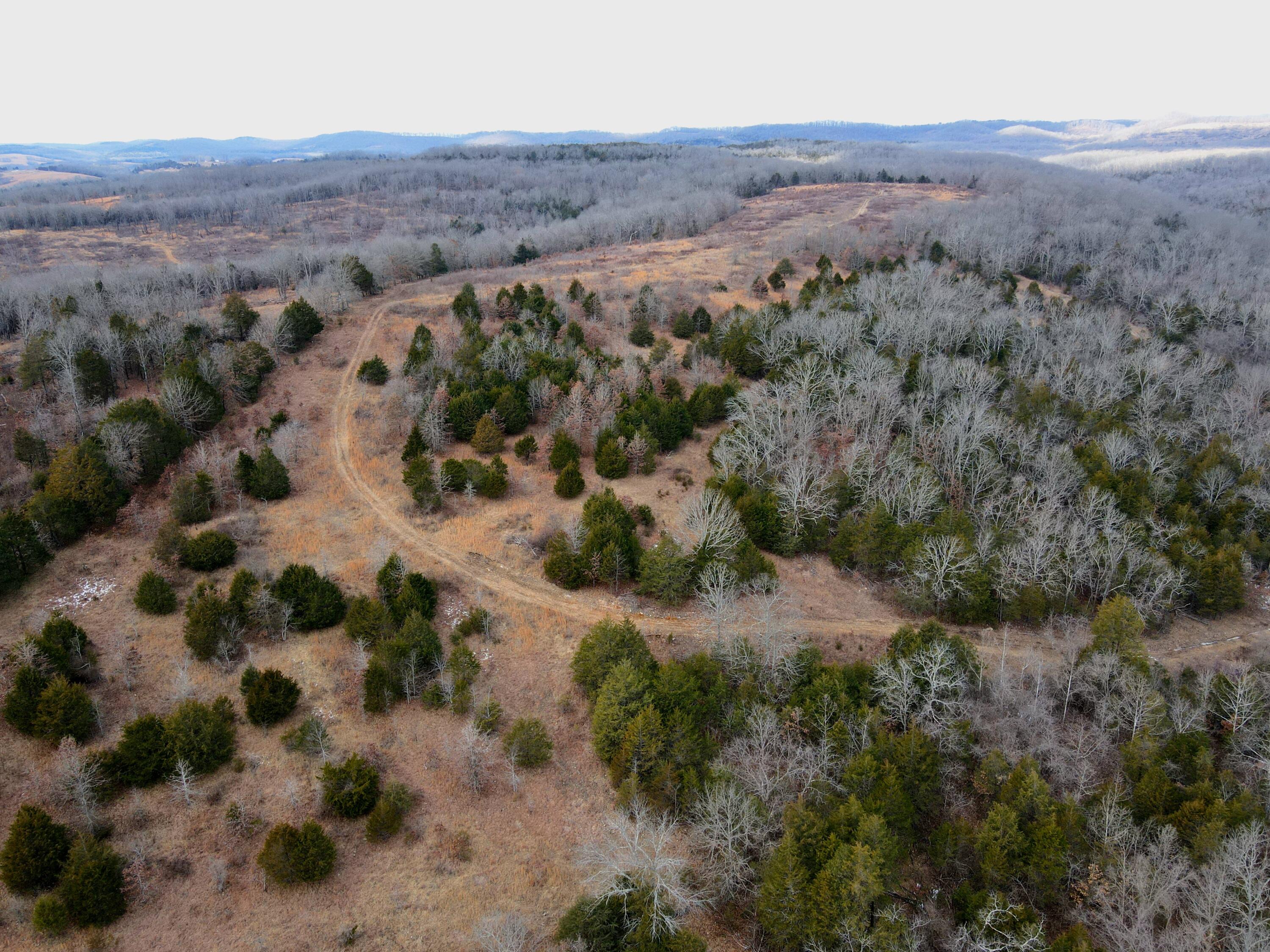 Ozark-Not in List - Residential