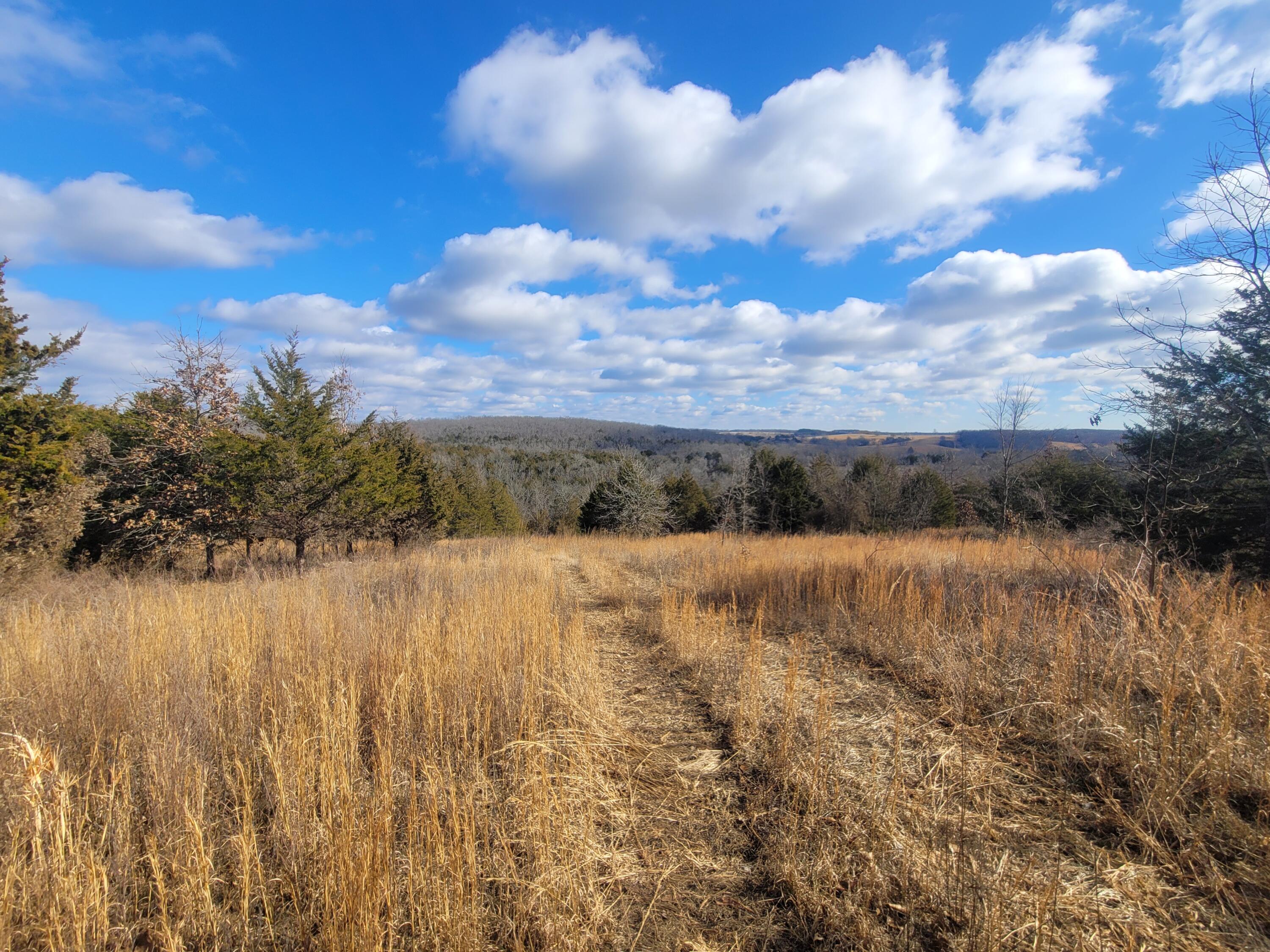 Ozark-Not in List - Residential