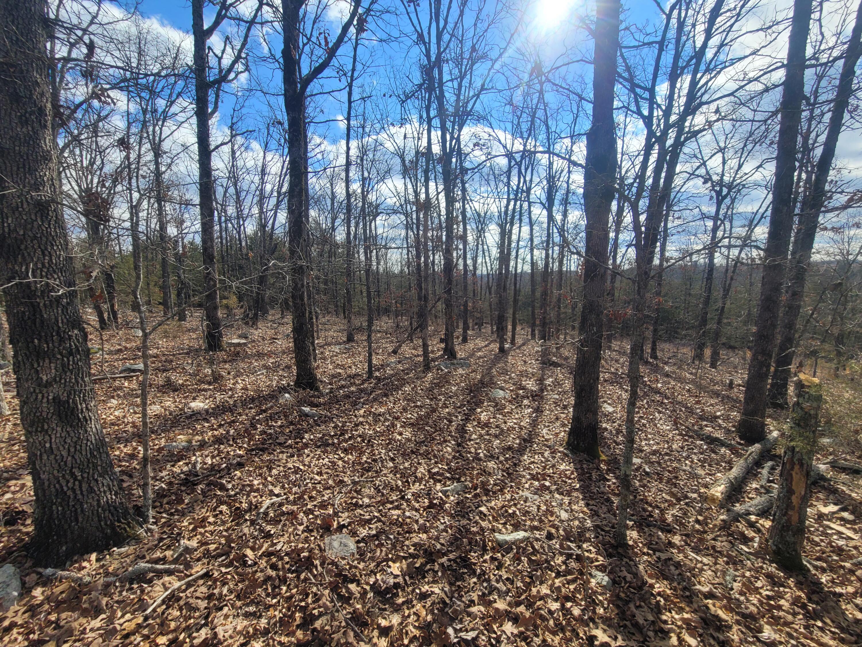 Ozark-Not in List - Residential