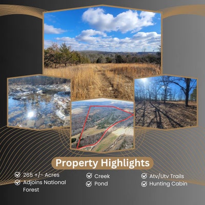 361 HICKORY FLATS RD, AVA, MO 65608 - Image a648bdd1f7f9a1c2d2b95227c4a6fd66/3578330085
