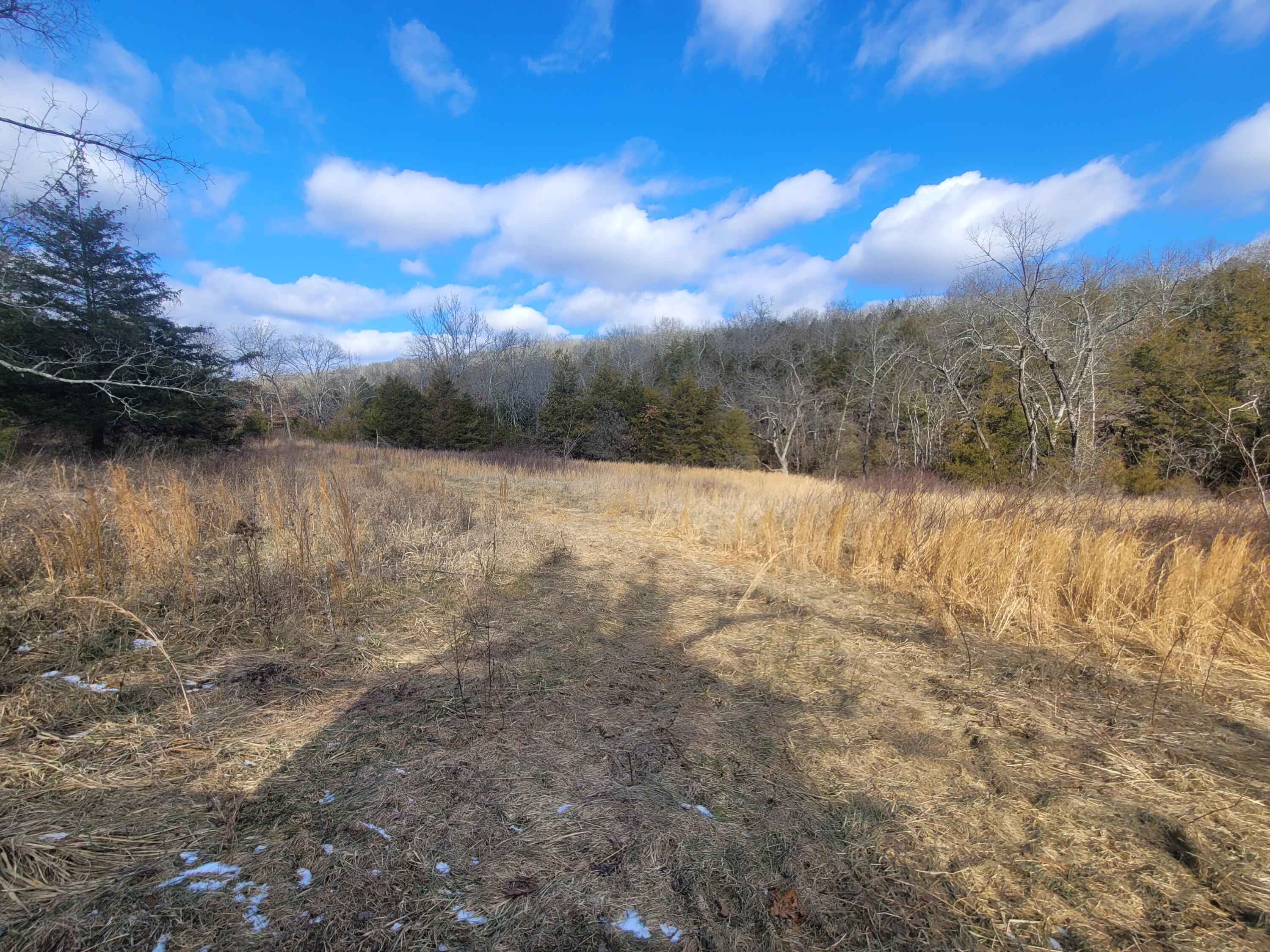Ozark-Not in List - Residential