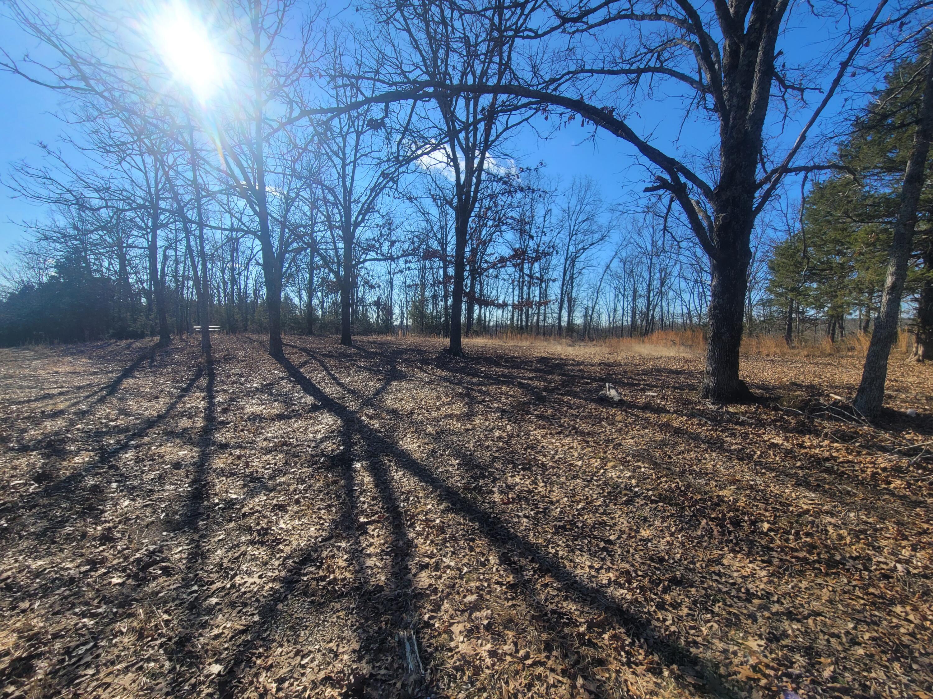Ozark-Not in List - Residential