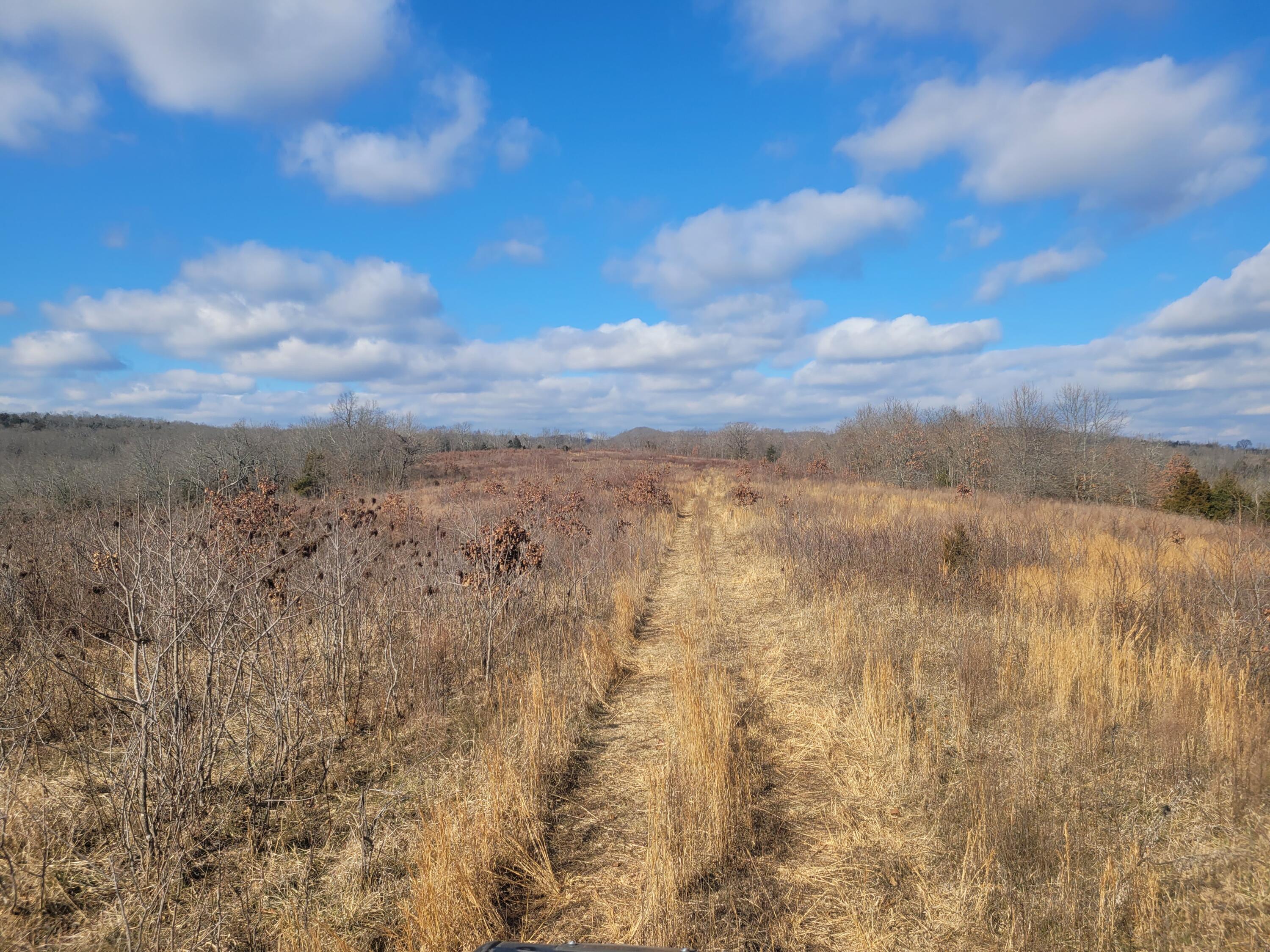 Ozark-Not in List - Residential