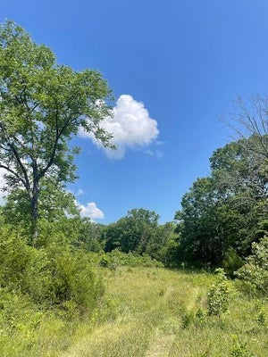 34 COUNTY RD 304, GAINESVILLE, MO 65655 - Image a6e2e303b71426b35f5ff5bc24a41687/2692228122