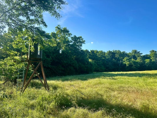 COUNTY RD 195, WHEATLAND, MO 65779 - Image a8215c841d6039603fabd9d5d40a3f01/1952870630