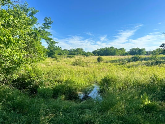 COUNTY RD 195, WHEATLAND, MO 65779 - Image a8215c841d6039603fabd9d5d40a3f01/903755583