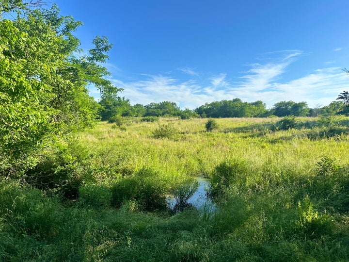 Photo 1 of 22 — 14188 County Road 195, Wheatland, MO 65779