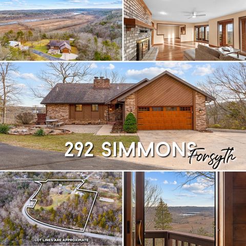 Photo of 292 Simmons Avenue, Forsyth, MO 65653 (MLS # 60313535)