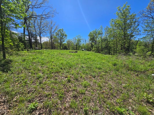 24803 COUNTY ROAD 294, URBANA, MO 65767 - Image aac16b3b9b39d74b5b4566cfc0aa90ad/1909446889