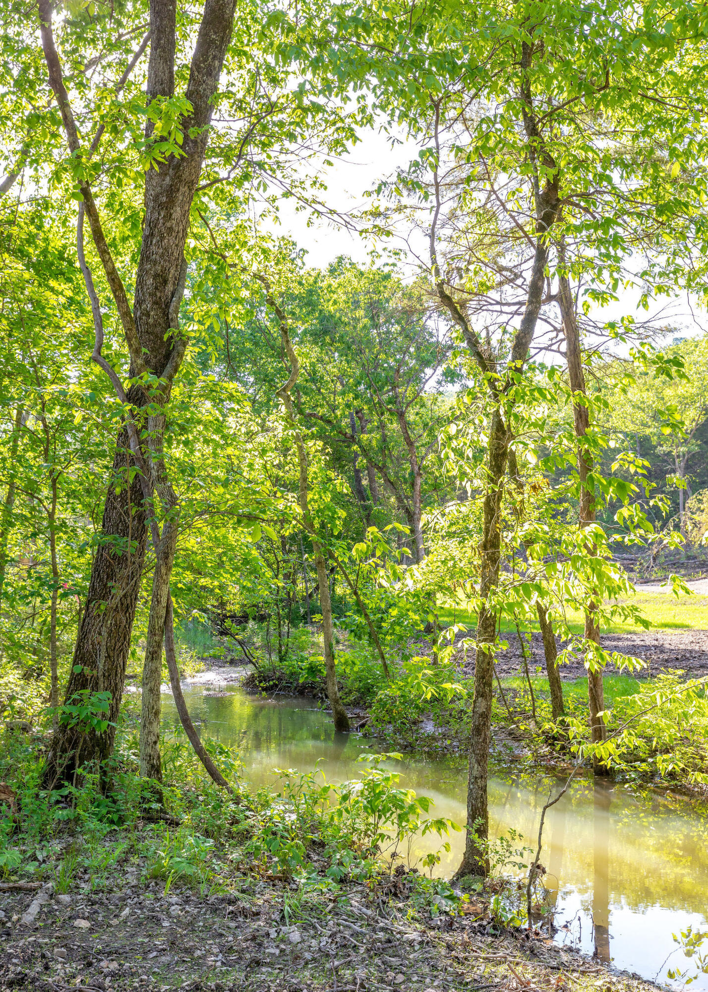 Tall Timbers Camp - Residential