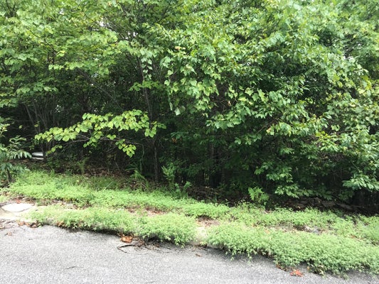 LOT 256 SKYLEE DRIVE, HOLLISTER, MO 65672 - Image abbf0e708774d62e2a69bff0e26d1570/1840974960